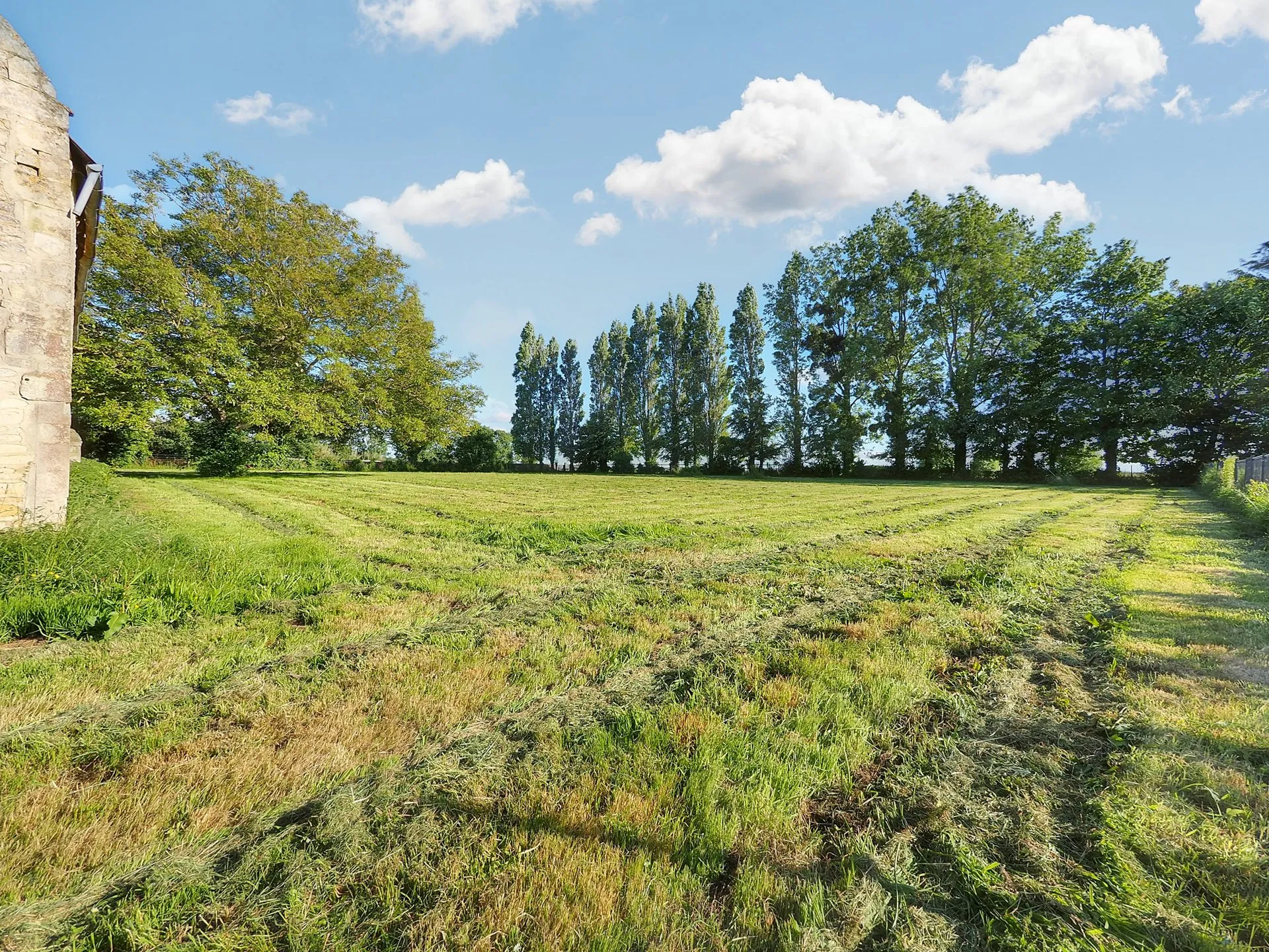 Grand terrain privé clos de 6 000 m² bordé d’arbres